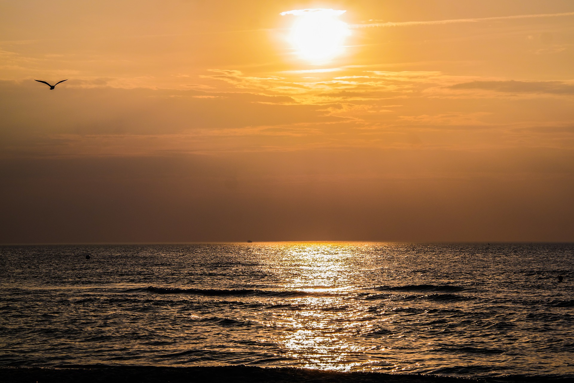 Seebestattung vor Kiel: Sonnenuntergang über der Kieler Bucht