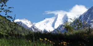 Was kostet eine Beerdigung auf der grünen Wiese? Almwiesenbestattung in den Schweizer Alpen
