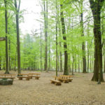 Waldbestattung planen Andachtsstätte im RuheForst Deister bei Hannover