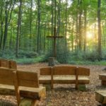 Waldbestattung im RuheForst Bückeburg planen