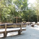 Waldbestattung im RuheForst Kaiserslautern planen
