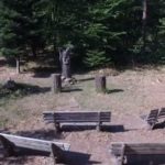 Bestattung im RuheForst Pfälzerwald