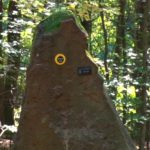 Bestattung im RuheForst Wilgartswiesen planen