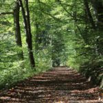 RuheForst Westmünsterland-Coesfeld