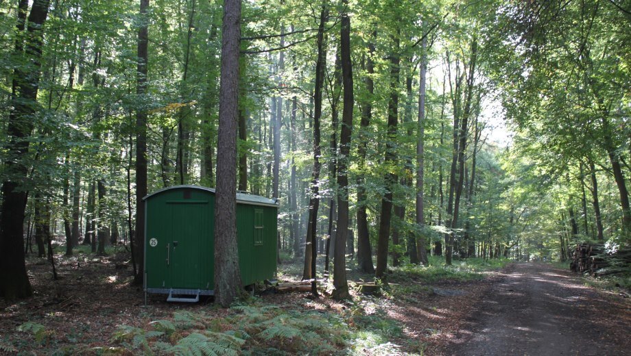 FriedWald_Meroder_Wald_Schutzwagen