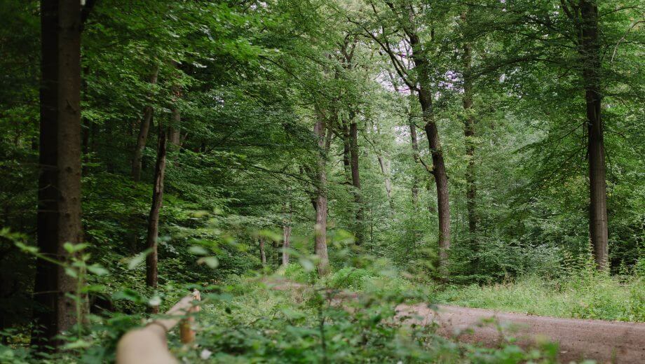 FriedWald Dietzenbach b. Frankfurt Grabarten & Kosten November.de