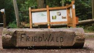 FriedWald Saarbrücken, Informationstafel