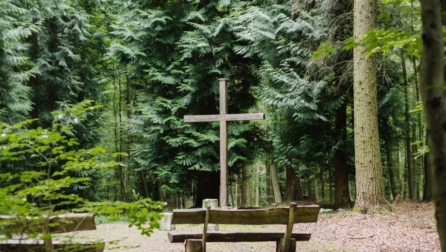FriedWald_Waldhessen_Andachtsplatz