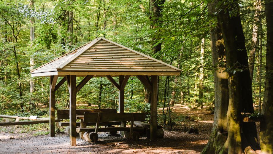 Sitzgruppe | Quelle: FriedWald Buxtehude Sitzgruppe | Quelle: FriedWald Buxtehude