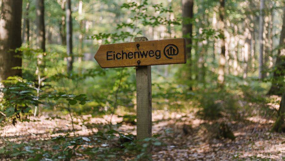 Wegweiser | Quelle: FriedWald Bremervörde Wegweiser | Quelle: FriedWald Bremervörde