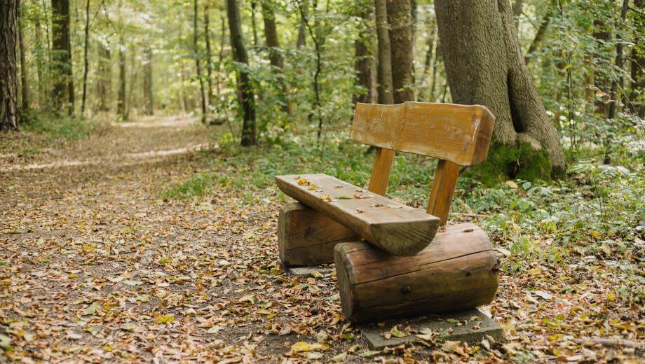 Sitzbank | Quelle: FriedWald Burg Plesse Sitzbank | Quelle: FriedWald Burg Plesse