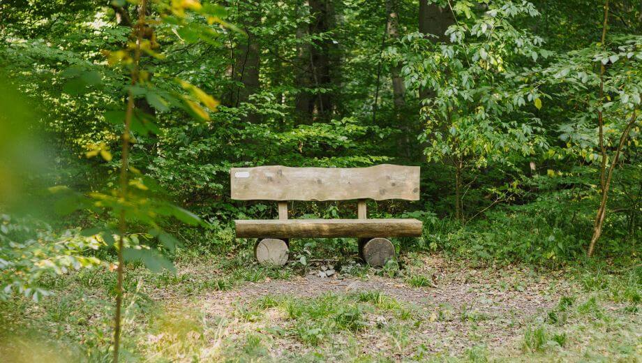 Sitzbank | Quelle: FriedWald Elm Sitzbank | Quelle: FriedWald Elm