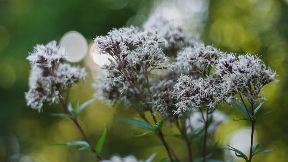 Quelle: FriedWald Spessart Quelle: FriedWald Spessart