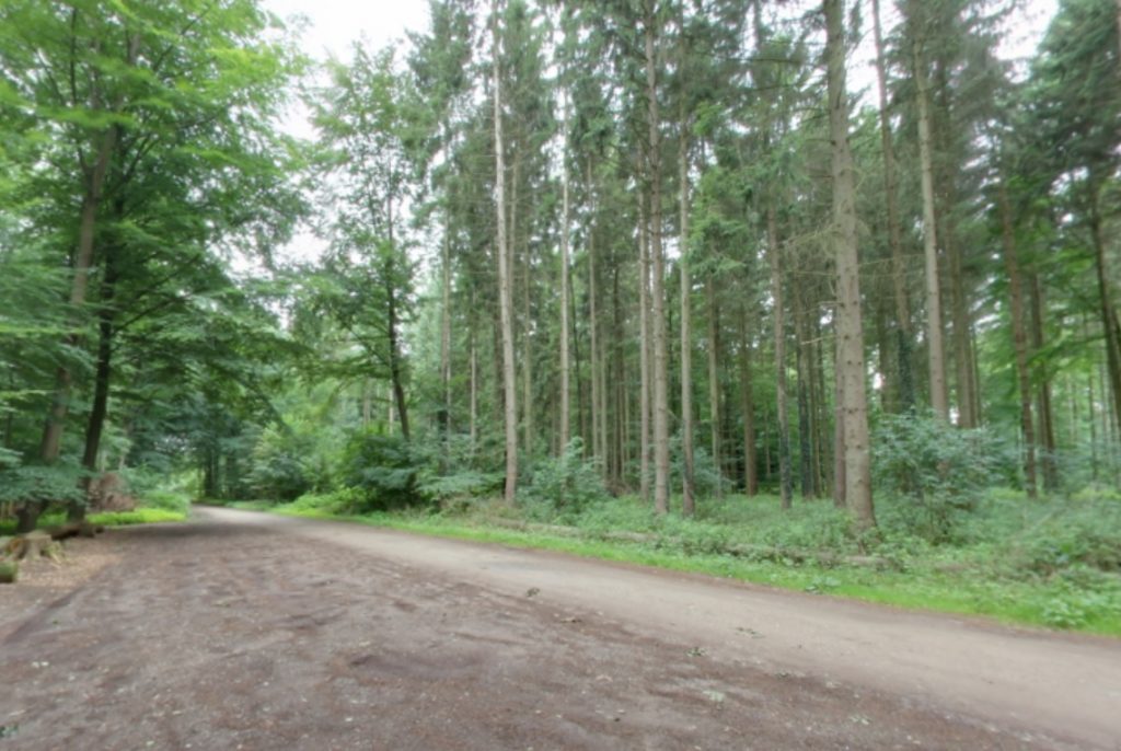 Zufahrt | Quelle: RuheForst Kirchlinteln Zufahrt | Quelle: RuheForst Kirchlinteln