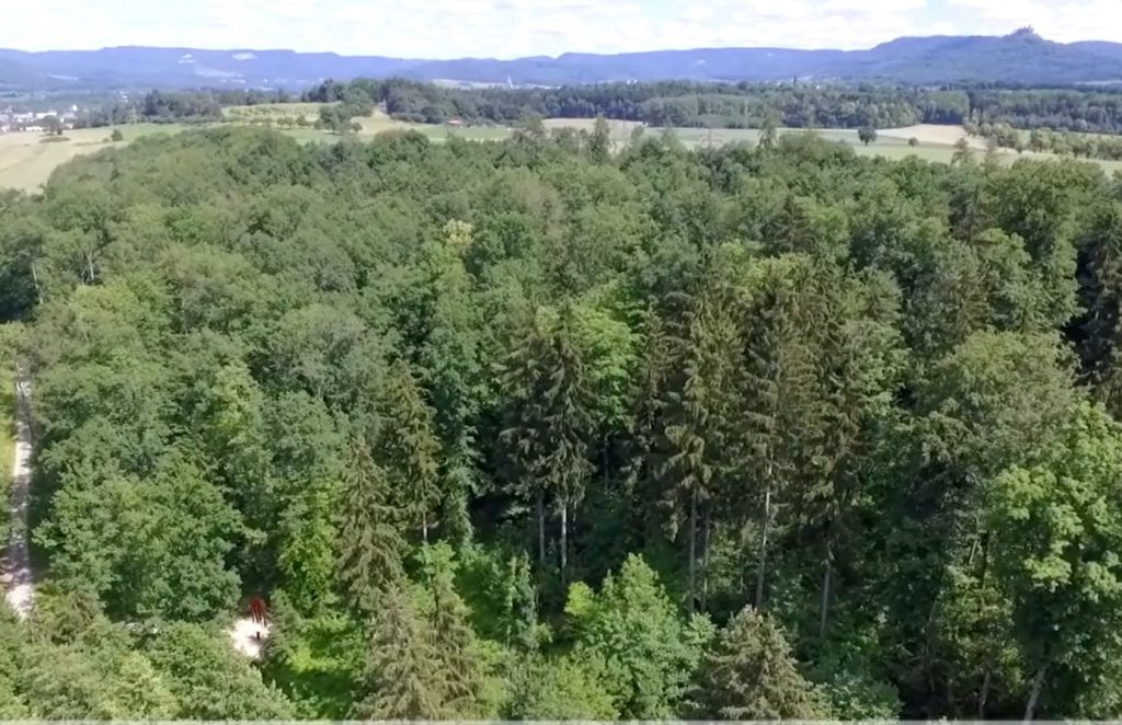 Blick auf den RuheForst und Burg Hohenzollern | Quelle: RuheForst Zollerblick Blick auf den RuheForst und Burg Hohenzollern | Quelle: RuheForst Zollerblick