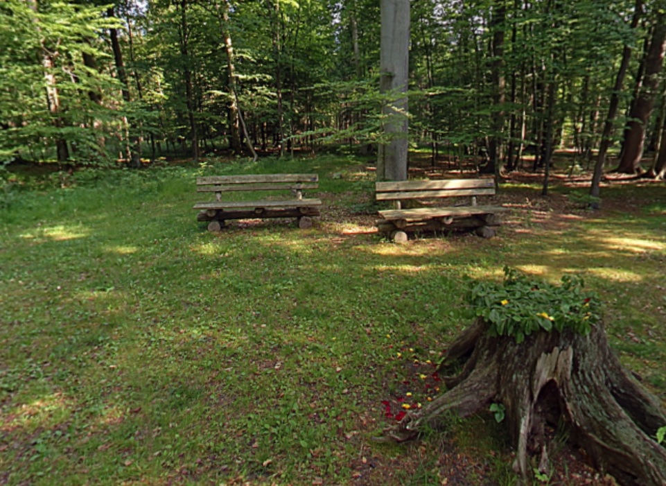 RuheForst Rostocker Heide, Andachtsplatz | Quelle: RuheForst RuheForst Rostocker Heide, Andachtsplatz | Quelle: RuheForst