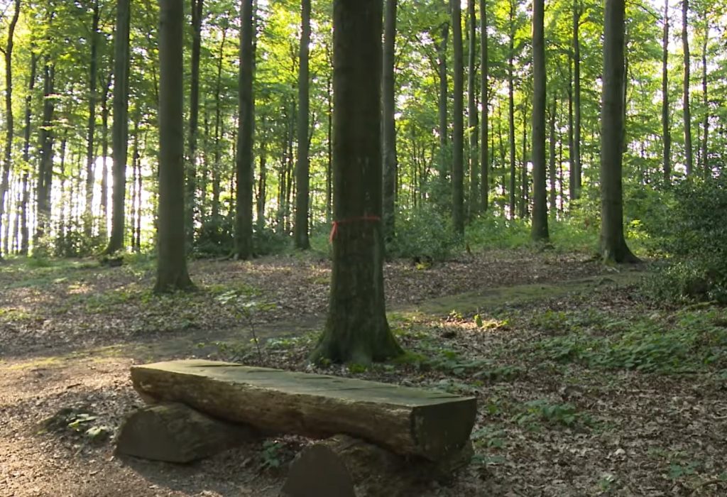 Sitzbank im RuheForst Hagen Philippshöhe | Quelle: RuheForst Sitzbank im RuheForst Hagen Philippshöhe | Quelle: RuheForst