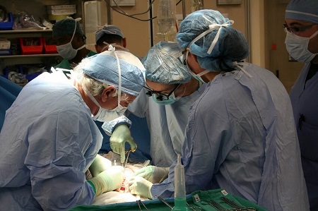Organentnahme für eine Transplantation