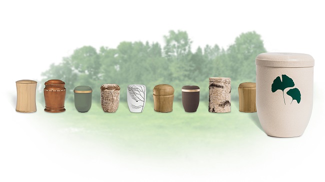 Eine schöne Auswahl: Verschiedene Urnen für die Waldbestattung im FriedWald Dessau-Wörlitz