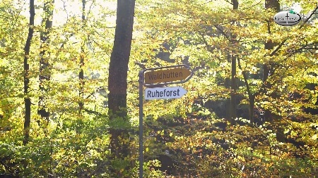 RuheForst Aukrug-Waldhütten | Quelle: RuheForst