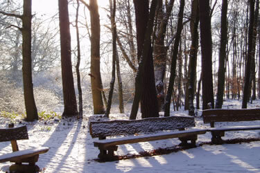 Andachtsplatz im Winter | Quelle: RuheForst Elbtalaue