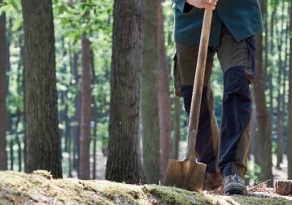 Beisetzung | Quelle: RuheForst Schlaubetal Beisetzung | Quelle: RuheForst Schlaubetal