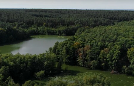 Vogelperspektive | Quelle: RuheForst Schlaubetal Vogelperspektive | Quelle: RuheForst Schlaubetal