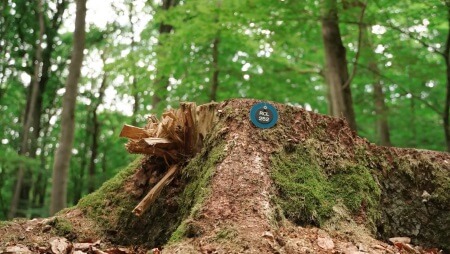 RuheBiotop | Quelle: RuheForst Coburger Land RuheBiotop | Quelle: RuheForst Coburger Land