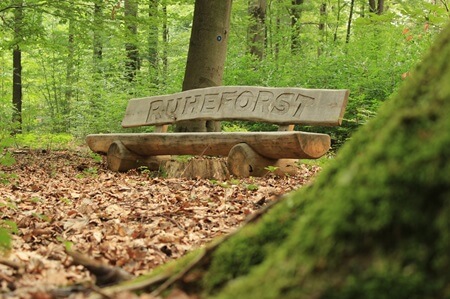 Ruhebank | Quelle: RuheForst Waldhufe Ruhebank | Quelle: RuheForst Waldhufe