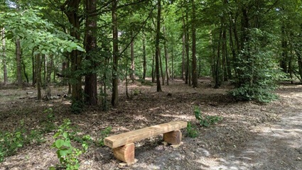 Waldweg mit Bank | Quelle: FriedWald Oberkrämer