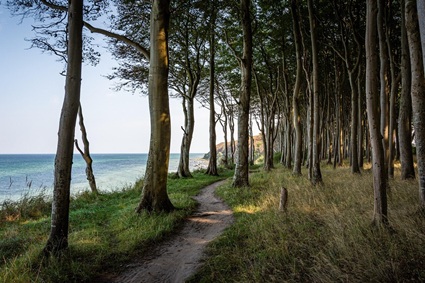 Ostseeküste Ostseeküste (Symbolbild)