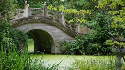 Foto von Björn Rodewald auf Unsplash Brücke im Zoo Duisburg