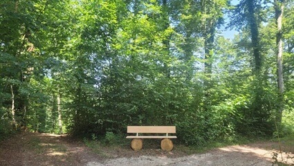 Ruhebank im FriedWald Starzach