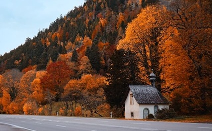 Foto von Alex Kolodziej auf Unsplash Bestattungen in Freiburg, Blick auf eine Kapelle im Herstwald
