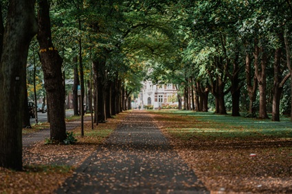 Fußweg in Hamm (Westfalen)