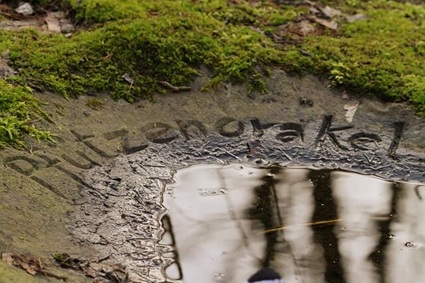 Pfützenorakel in Solingen