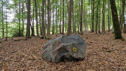 Findling im RuheForst Ditscheid