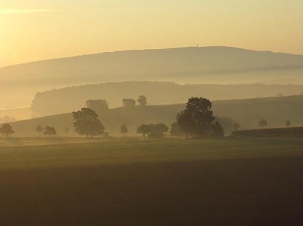 Vorharz bei Göttingen im Abendlicht