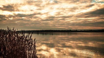 Blick über den Salzgittersee bei Sonnenaufgang