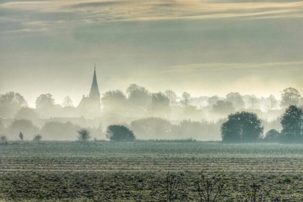 Frühnebel auf einem Feld bei Salzgitter-Beinum