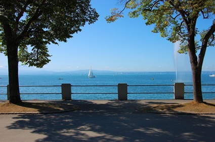 Blick auf den Bodensee bei Konstanz mit weißen Segelbooten