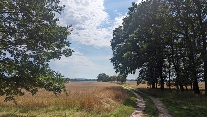 Blick vom Waldrand | Quelle: FriedWald Lossatal