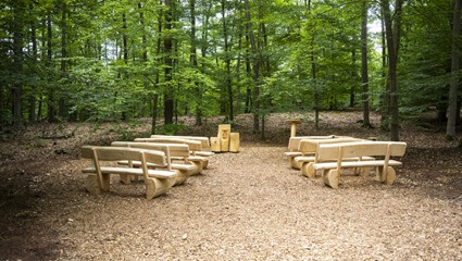Andachtsplatz mit Sitzbänken | Quelle: FriedWald Lehnin Andachtsplatz mit Urnenstele und Sitzbänken im FriedWald Lehnin | Quelle: FriedWald