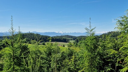 Aussicht vom RuheForst Alpenblick | Quelle: RuheForst Aussicht vom RuheForst Alpenblick