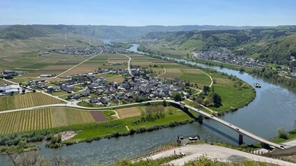 Ausblick ins Moseltal Ausblick ins Moseltal | Quelle: FriedWald Klüsserath