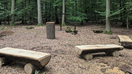 Andachtsplatz im FriedWald Rauischholzhausen Andachtsplatz | Quelle: FriedWald Rauischholzhausen